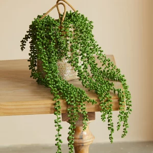 Artificial Plants Fleshy Vine Succulent Ivy