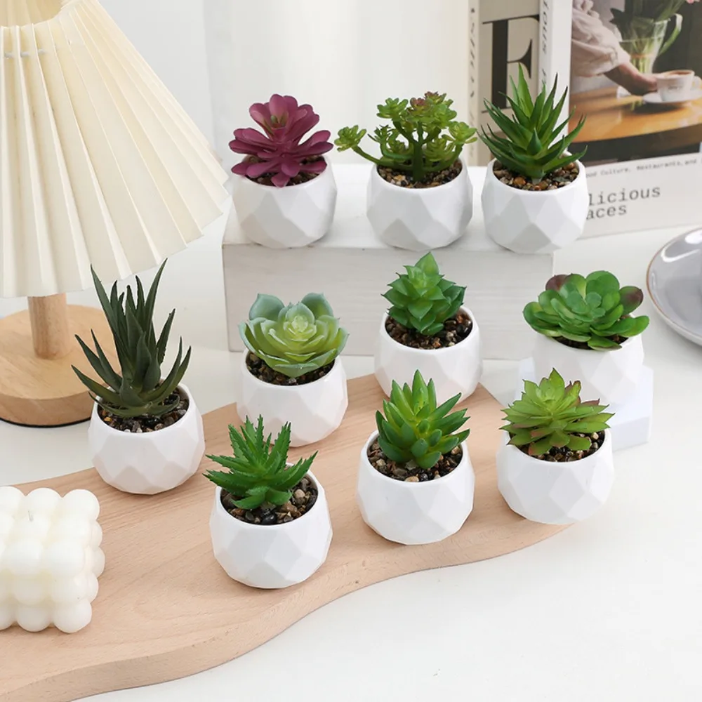 Artificial Succulent Bonsai Plants - Image 3