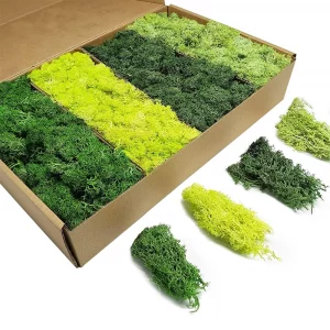 Artificial Green Plants Eternal Life