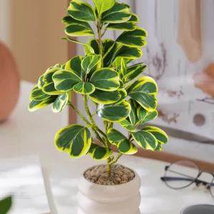 20-37cm Small Artificial Heart-leaf Hoya Plants Fake Succulent
