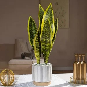 31/37cm Artificial Snake Plants Fake Succulents